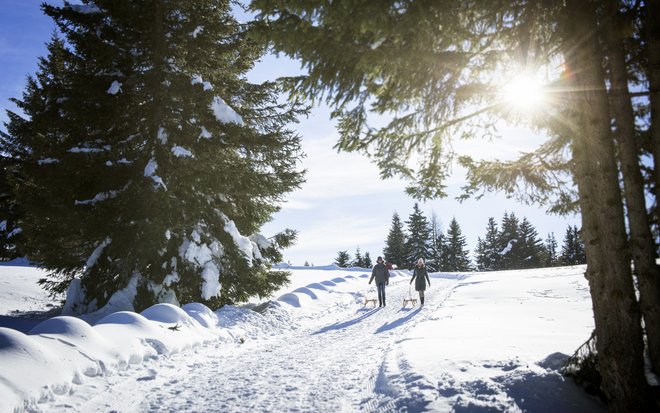 Belebende Kontraste: Ihr Wellnesshotel in Meran und Umgebung
